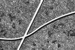 Etched in Stone by Gary Levy