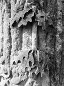 Untitled 5 by John Deason