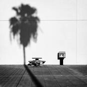 ShadowsShift by Sharon Lee Hart