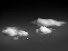 Good Flying Weather by Garry Wapshott