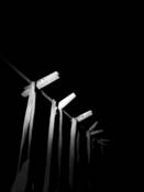 Face Masks the Night by Lada Valkova