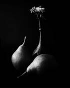 Still Life by David DeNagel