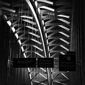 Gateway by Tom Robbins