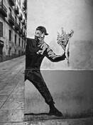 Flolwers by Darrell Sano