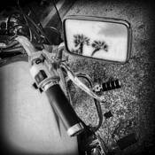 Motor Cycle With Palms by Mary Doering