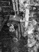 Bagel Crossing the River by Victor Ginzburg