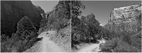 Zion 1 by Michael Cinque