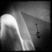 Library 2 by Elizabeth Siegfried