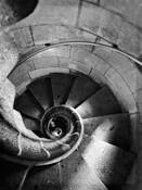 Conch by Heather McAlister