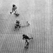 Falling Down Series 1 by Diane Dequevedo Klein