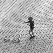 Falling Down Series 8 by Diane Dequevedo Klein