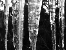 Winter Evening by JT Lee