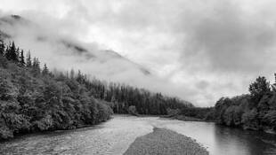 Quinault River Mist by David Legg
