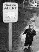 Too Young to Read by Jim Harris