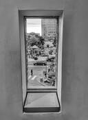 Looking Out by Samuel H. Brown