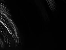 Light Dance Series-020 by Don Fike