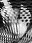 Window Display by Theresa Feijo