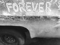 Forever by Todd Morgan