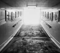 In to the Light by Todd Morgan