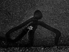 Alien Ritual by David Storey