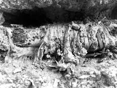 Cemented Pipes by Rasika Mahajan