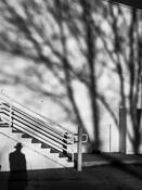 Stairway Shadow by Tony Hertz