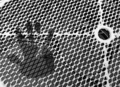 Here Today… by Randy Harr