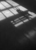 5. Apparition by James Cassidy