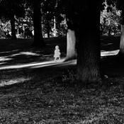 Djurgården by Anne De Geer