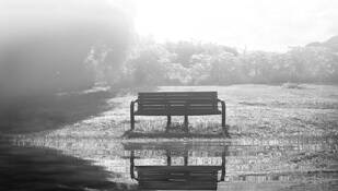 Parque by Osvaldo Rivera