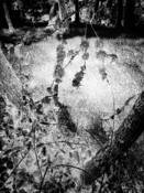 Shelter in Place N.3 by Eduardo Fujii