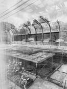 Greenhouse by Ellen Denuto