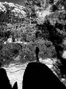 Shadow by Cecile Chalouni