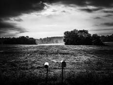 Morning by Ferdinand Ocasio Tomlin