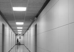 Isolation by Rene Rodriguez