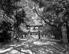 Shrine by Minay Baltazar