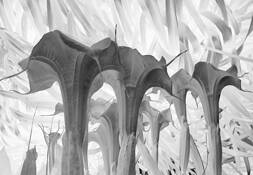 Trumpetvines #3 by Lee Grossman