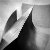 Walt Disney Concert Hall by Javid Kamali