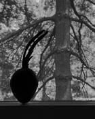 Hey by Cintia Malhotra