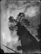 Reach by Liliana Novati