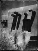 Adobe by Gregory Collins