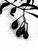 Goji Berries by Jay Bergman