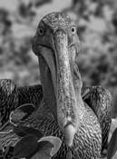 Eyes Only for You by James Esten