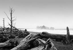 Rialto Beach Weather by Walter Pinkus