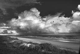 Carolina # 128 by Chris Bruner