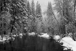Swinging Bridge by Justin Ciccarello