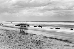 Ghost Walker by Michael Stimola