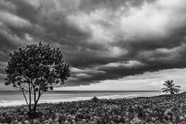 Hurricane Dorian Offshore by Lee Gordon