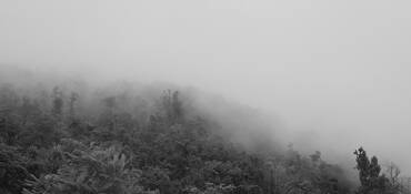 Misty Mountain by Daniel Price