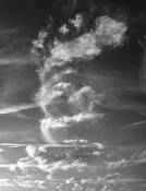 After the Storm by Caroline Crease